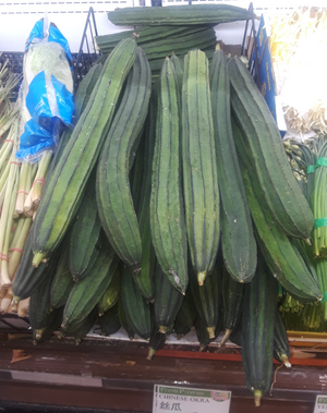 Luffa acutangula - Edible Plants Wiki