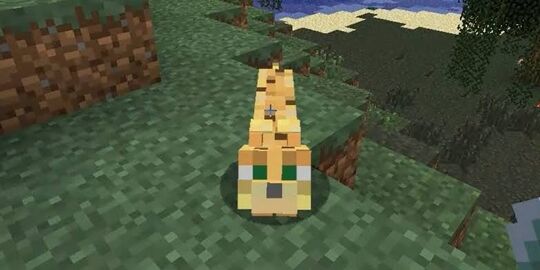 User:Oceyocelot - Italian Brainrot Wiki