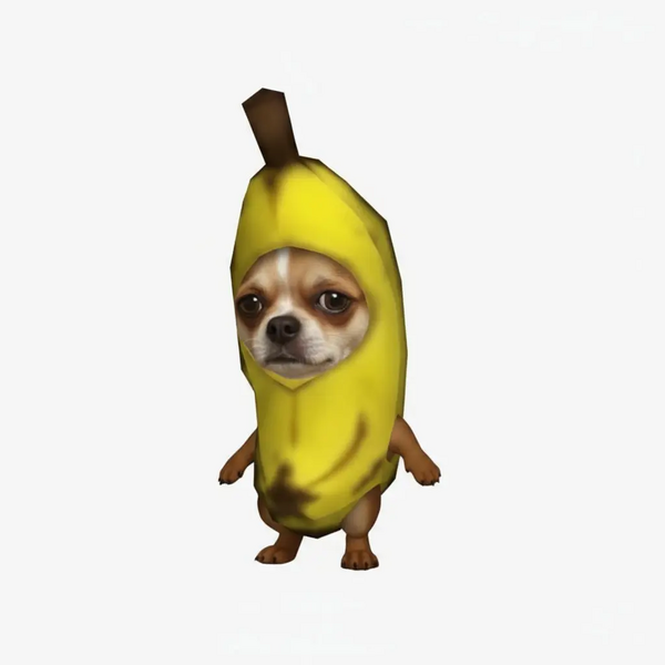 File:Banana Dog.webp - Italian Brainrot Wiki